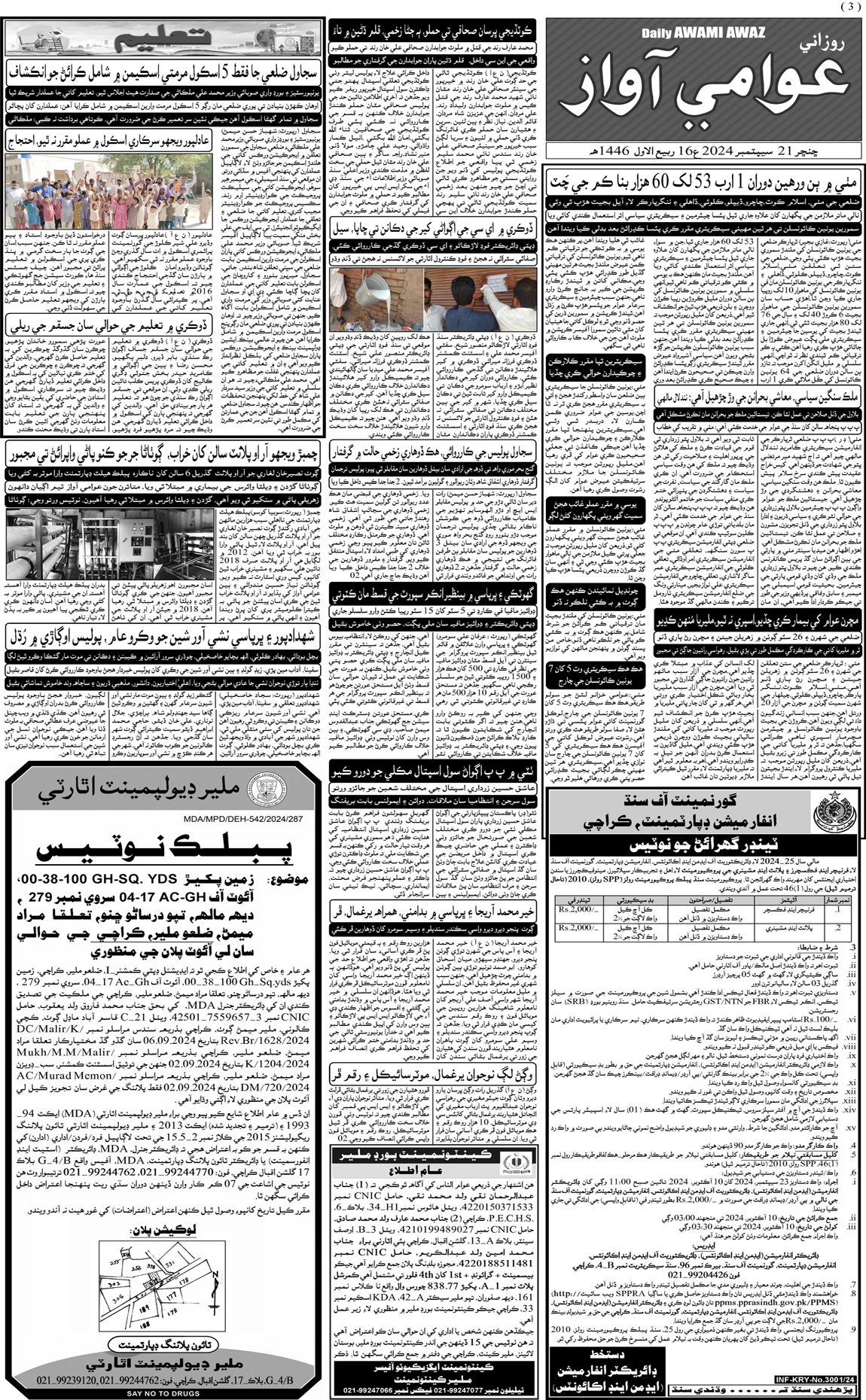 page 3